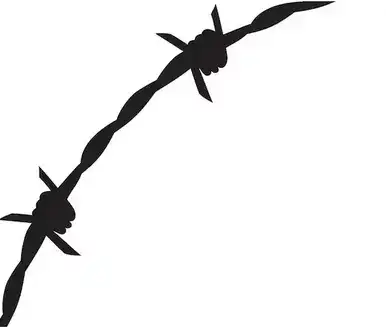 Barb Wire