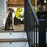 American Series - Stair Rail Section